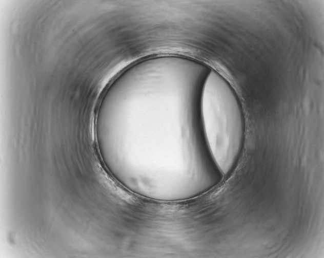 X0000100211036200805300721