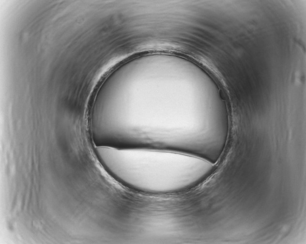 X0000100211037200805300721