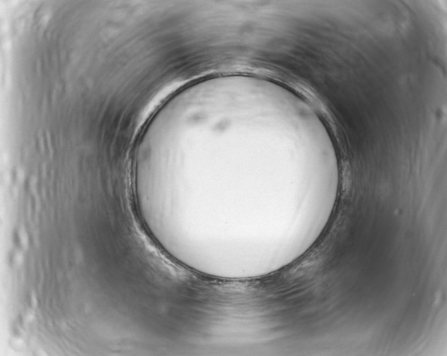 X0000100211048200805300721