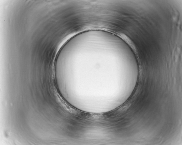 X0000100211052200805300721
