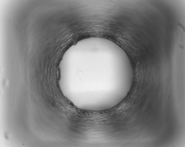 X0000100211057200805300721