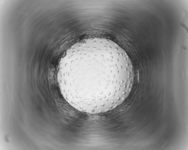 X0000100211059200805300721