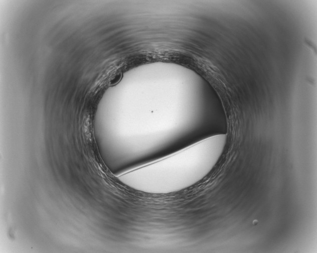 X0000100211060200805300721