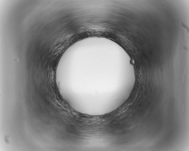 X0000100211061200805300721