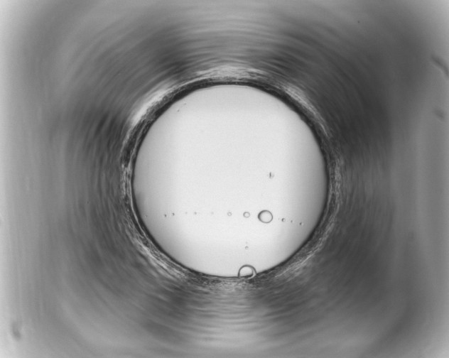 X0000100211067200805300720