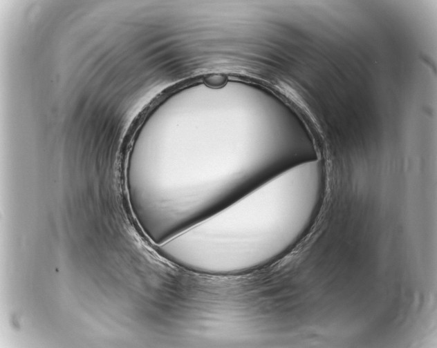 X0000100211068200805300720