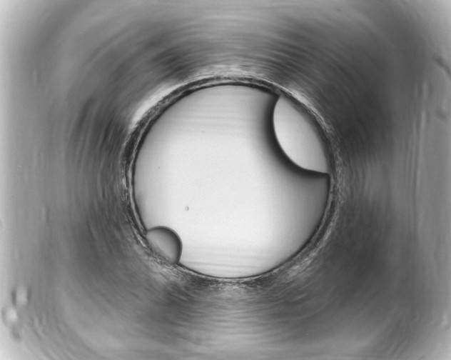 X0000100211070200805300720
