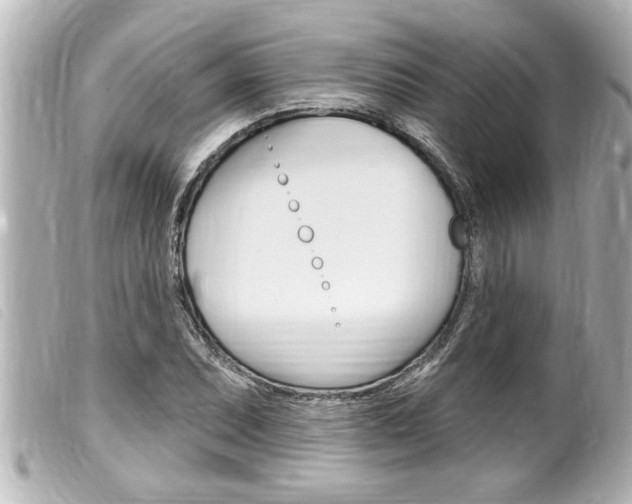 X0000100211071200805300720