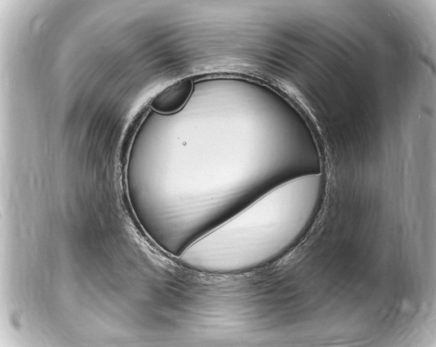 X0000100211072200805300720