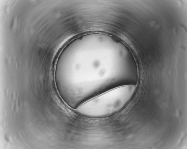 X0000100211076200805300720