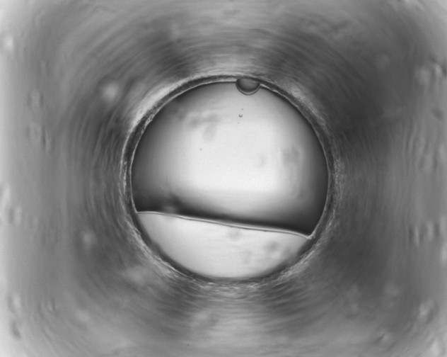 X0000100211077200805300720