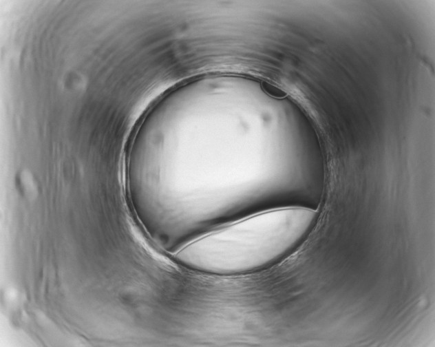 X0000100211084200805300720