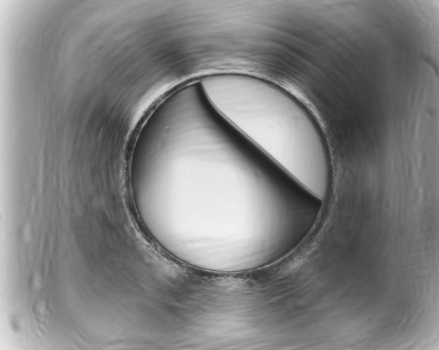 X0000100211085200805300720