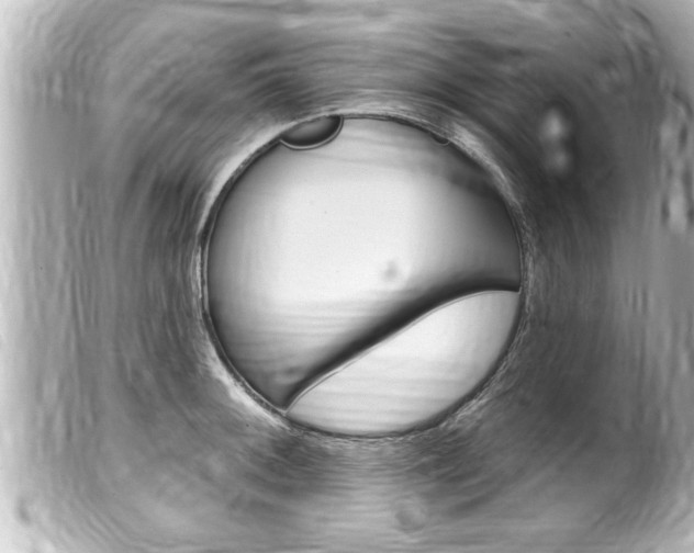 X0000100211092200805300720