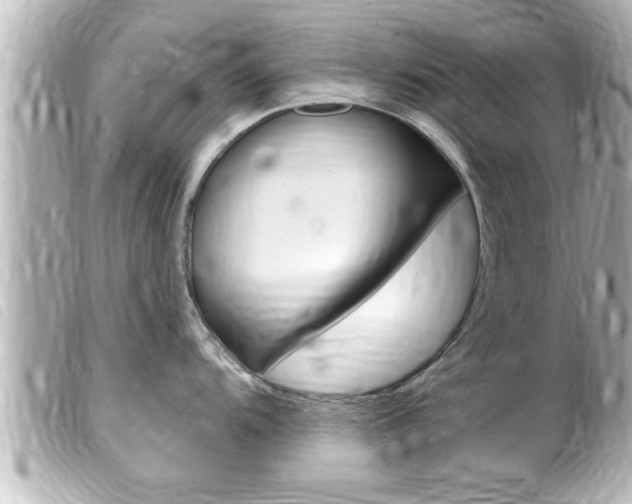 X0000100211104200805300720