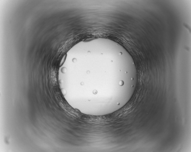 X0000100211106200805300719