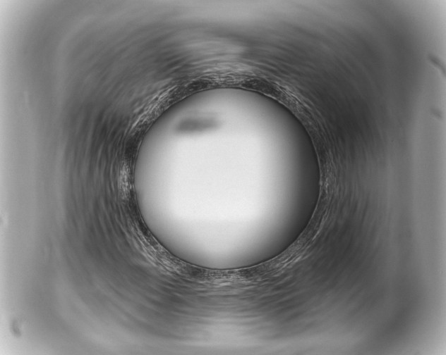 X0000100211108200805300719