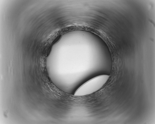 X0000100211110200805300719