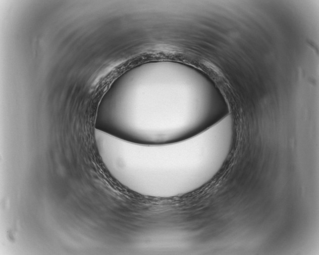 X0000100211112200805300719