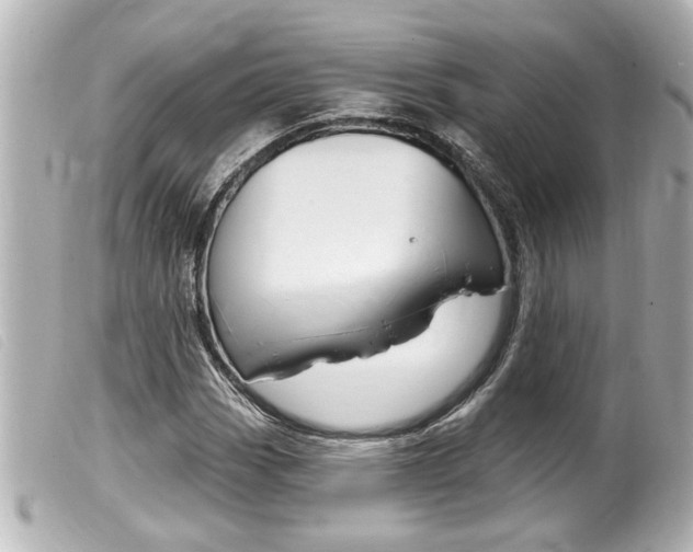X0000100211113200805300719