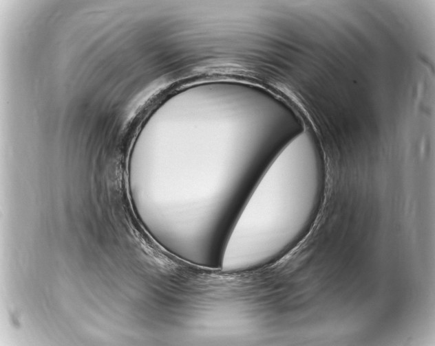 X0000100211115200805300720