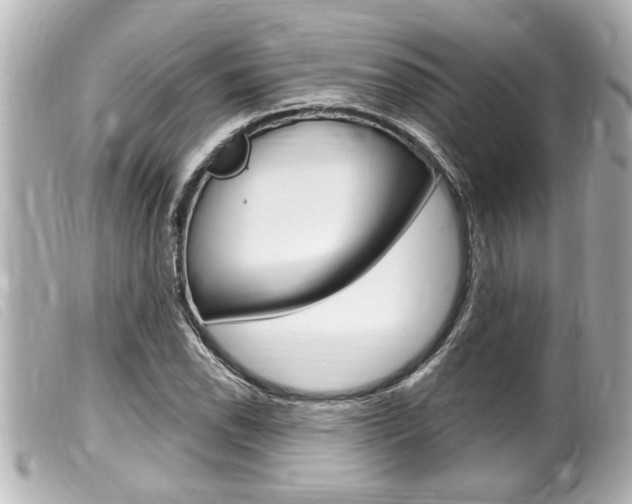 X0000100211118200805300720