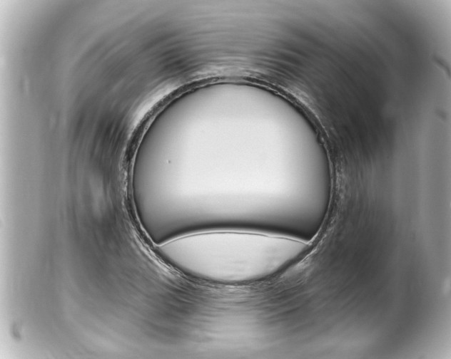 X0000100211119200805300720