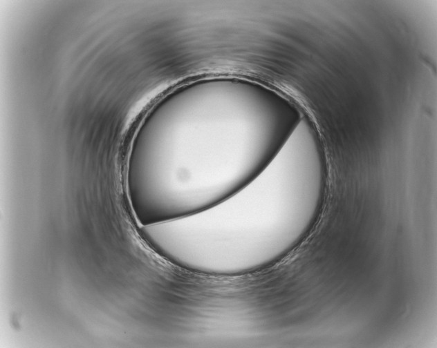 X0000100211120200805300720