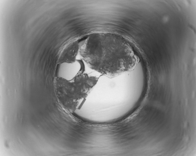 X0000100211121200805300720