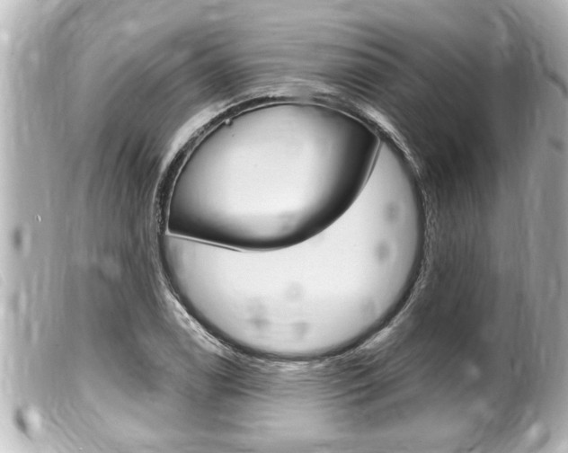 X0000100211122200805300720