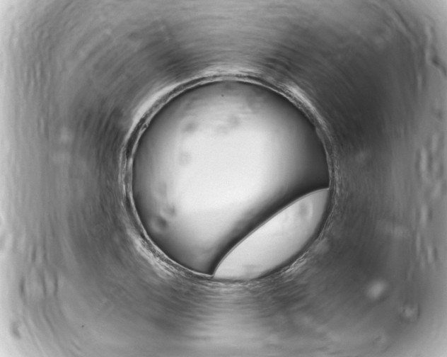 X0000100211124200805300720