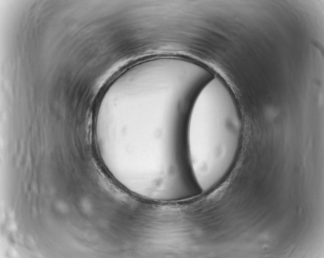 X0000100211126200805300720