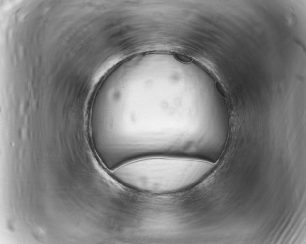 X0000100211135200805300720
