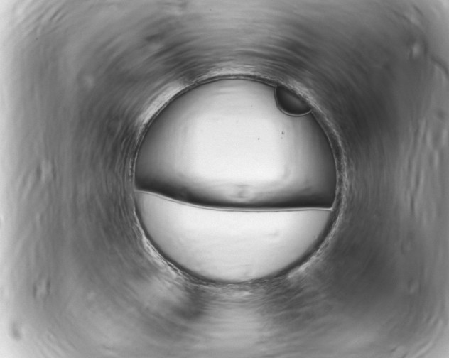 X0000100211137200805300720
