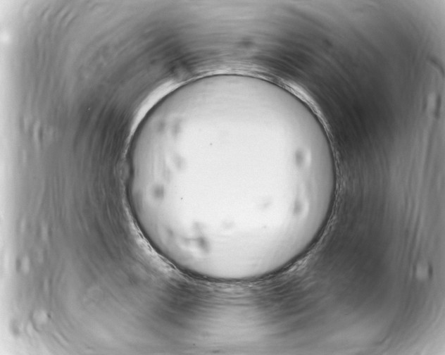 X0000100211138200805300720