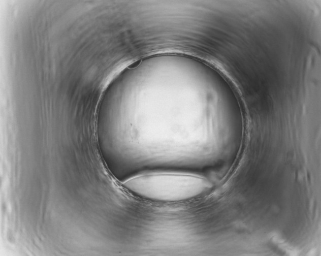 X0000100211145200805300720