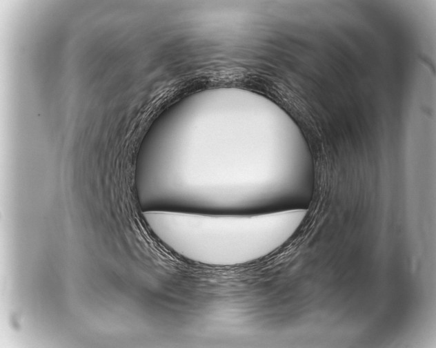 X0000100211153200805300719
