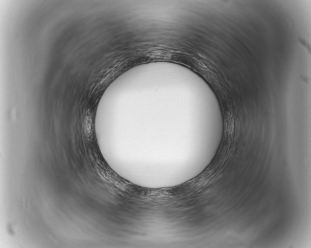 X0000100211154200805300719