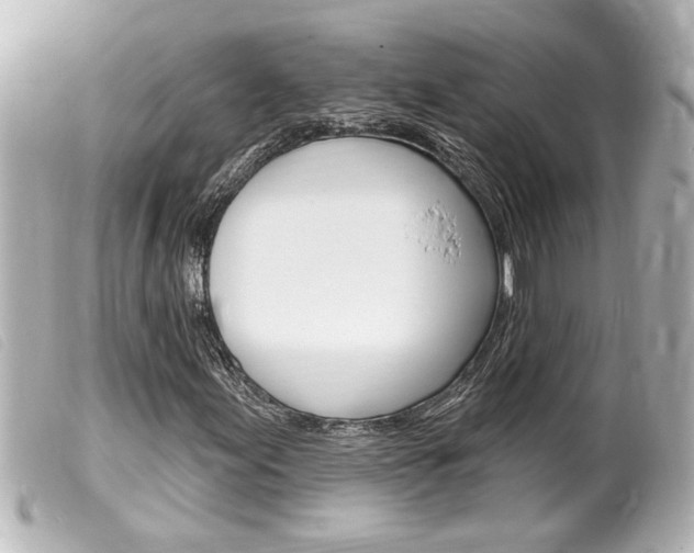 X0000100211155200805300719