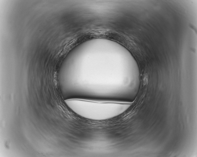 X0000100211156200805300719