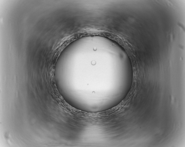 X0000100211157200805300719