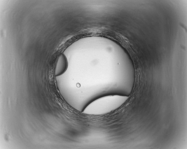 X0000100211158200805300719