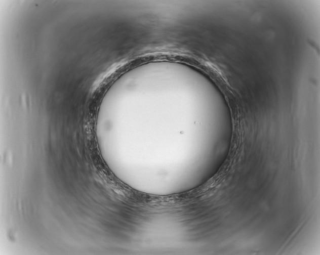 X0000100211159200805300719
