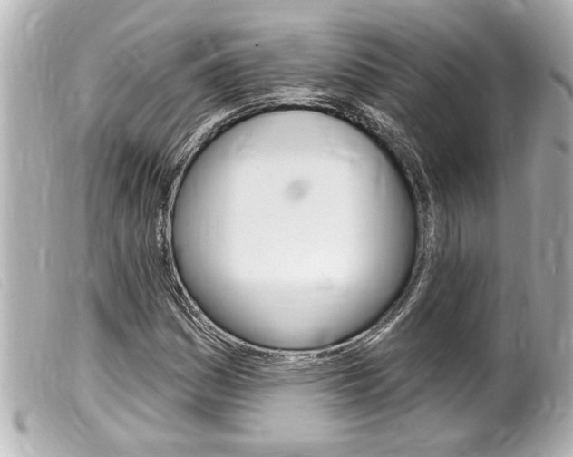 X0000100211161200805300719