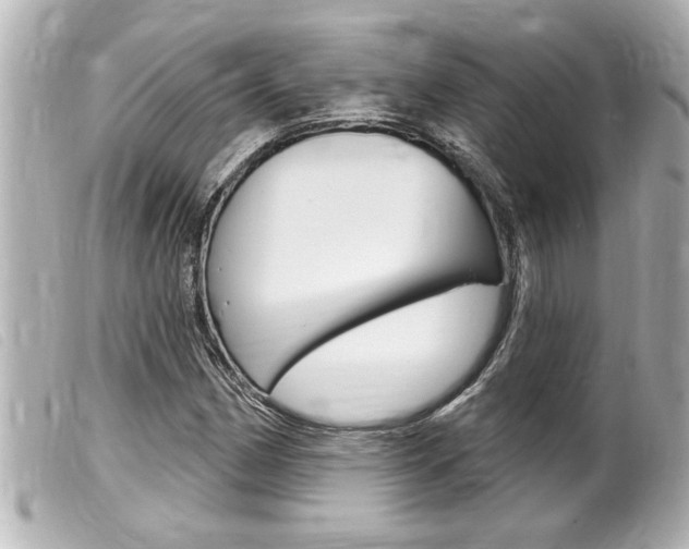 X0000100211162200805300719