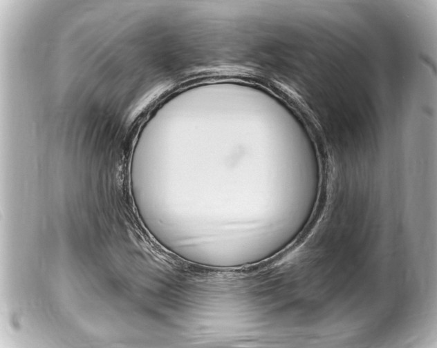 X0000100211163200805300719