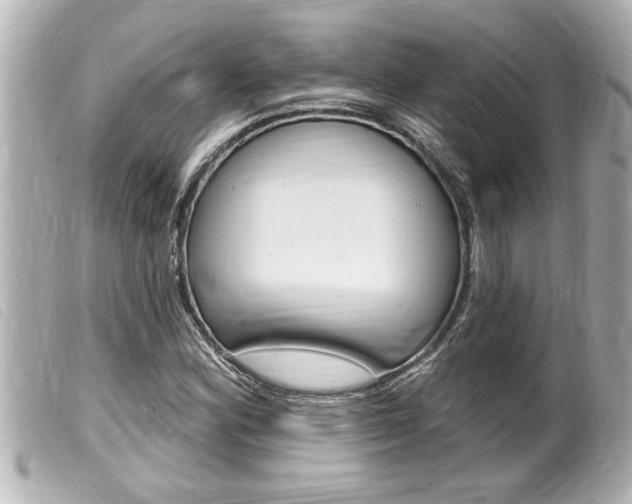 X0000100211164200805300719