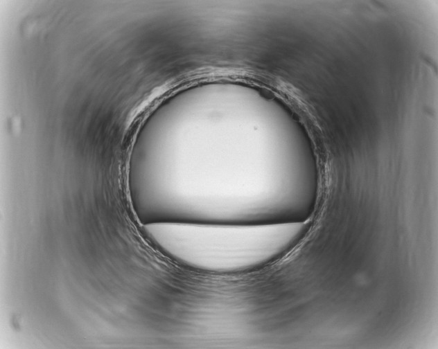 X0000100211165200805300719