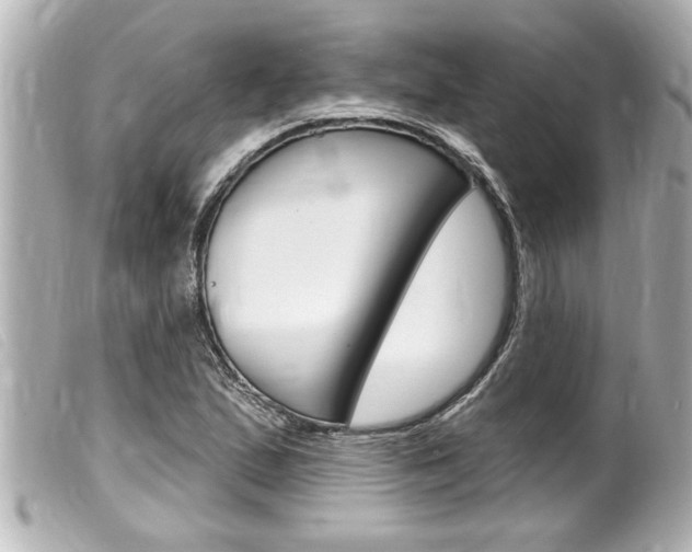 X0000100211167200805300719