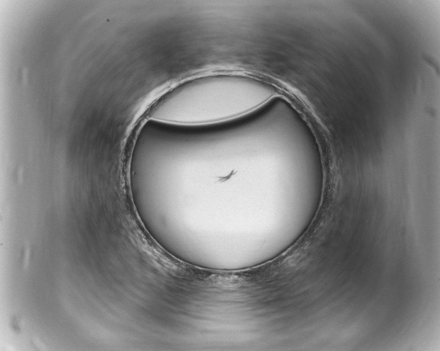X0000100211168200805300719